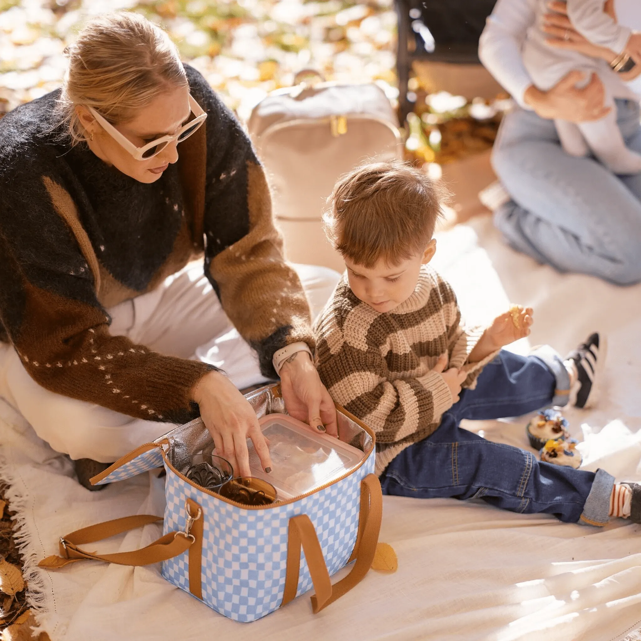 Maxi Insulated Picnic Bag/Pumping Bag - Blue Check