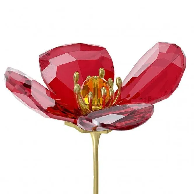 Red Poppy Red Crystal Sculpture 5646018