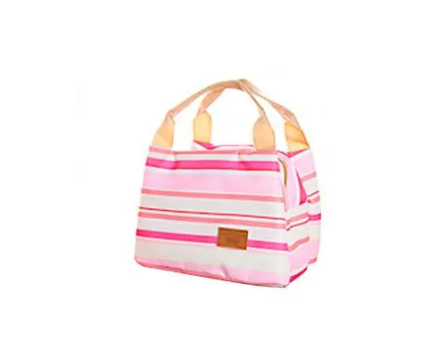 Trendy Insulated Thermal Picnic Lunch Bag with Zipper